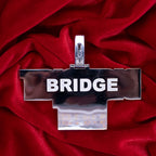 Custom White Gold "DISTRICT-ENT" Pendant