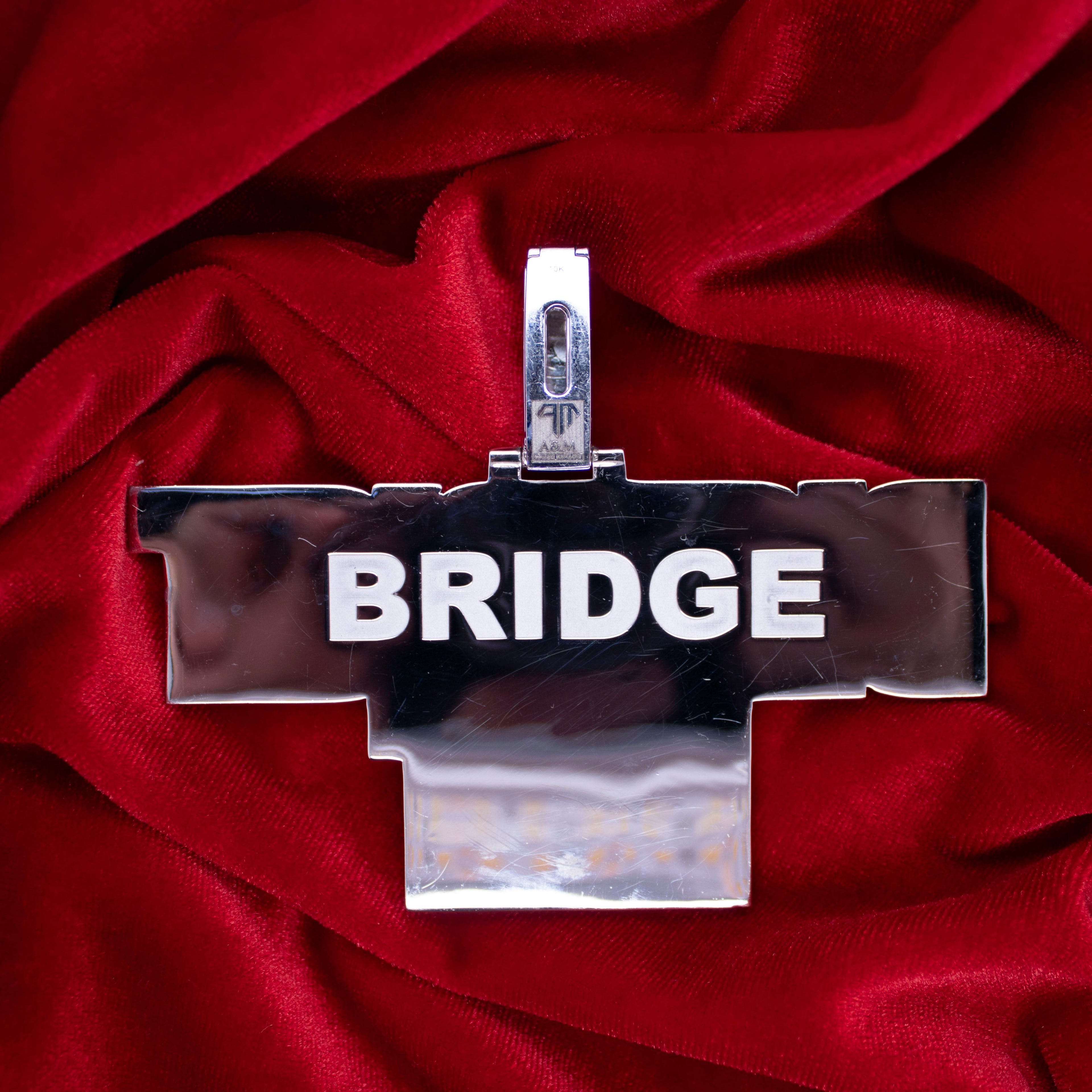 Custom White Gold "DISTRICT-ENT" Pendant