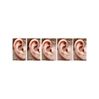 14K Rose Gold Round Solitaire Diamond Earrings 1.40-3.81 CT